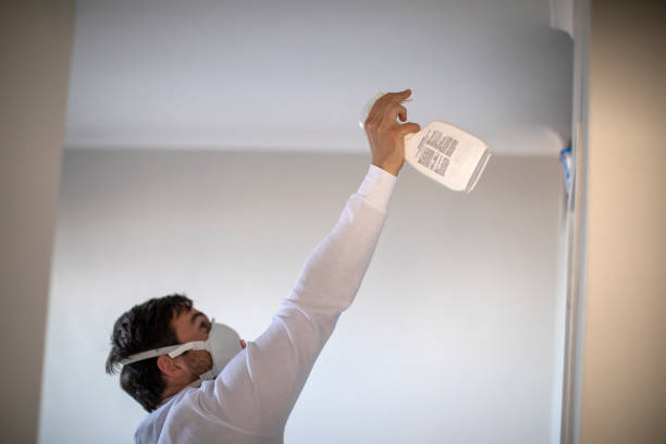 Professional Mold Removal in Ogden, IA